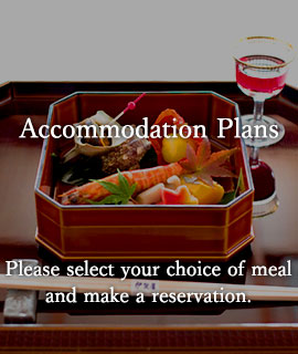 Accommodation Plans