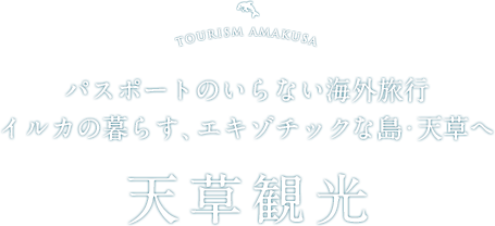 伊賀屋旅館がオススメする天草観光