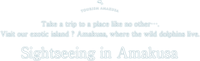 Sightseeing in Amakusa