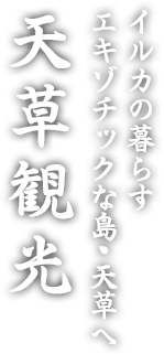 思い出づくりに行きたい天草観光